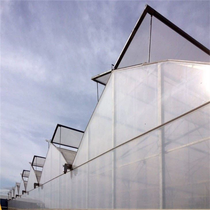 Butterfly Roof Vent Greenhouse