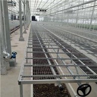 وائر نیٹ سیڈ بیڈ