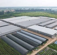 اندرونی/بیرونی شیڈنگ سسٹم کے ساتھ پلاسٹک فلم گرین ہاؤس فارم